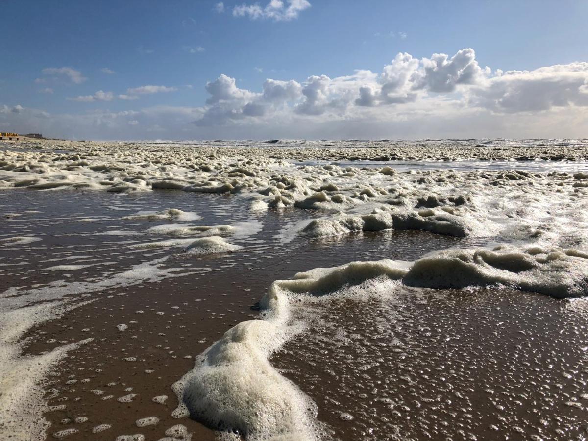 Eco Lodge Duin- Unieke Locatie -Strand, Duin En Nabij Cultuursteden Castricum Kültér fotó