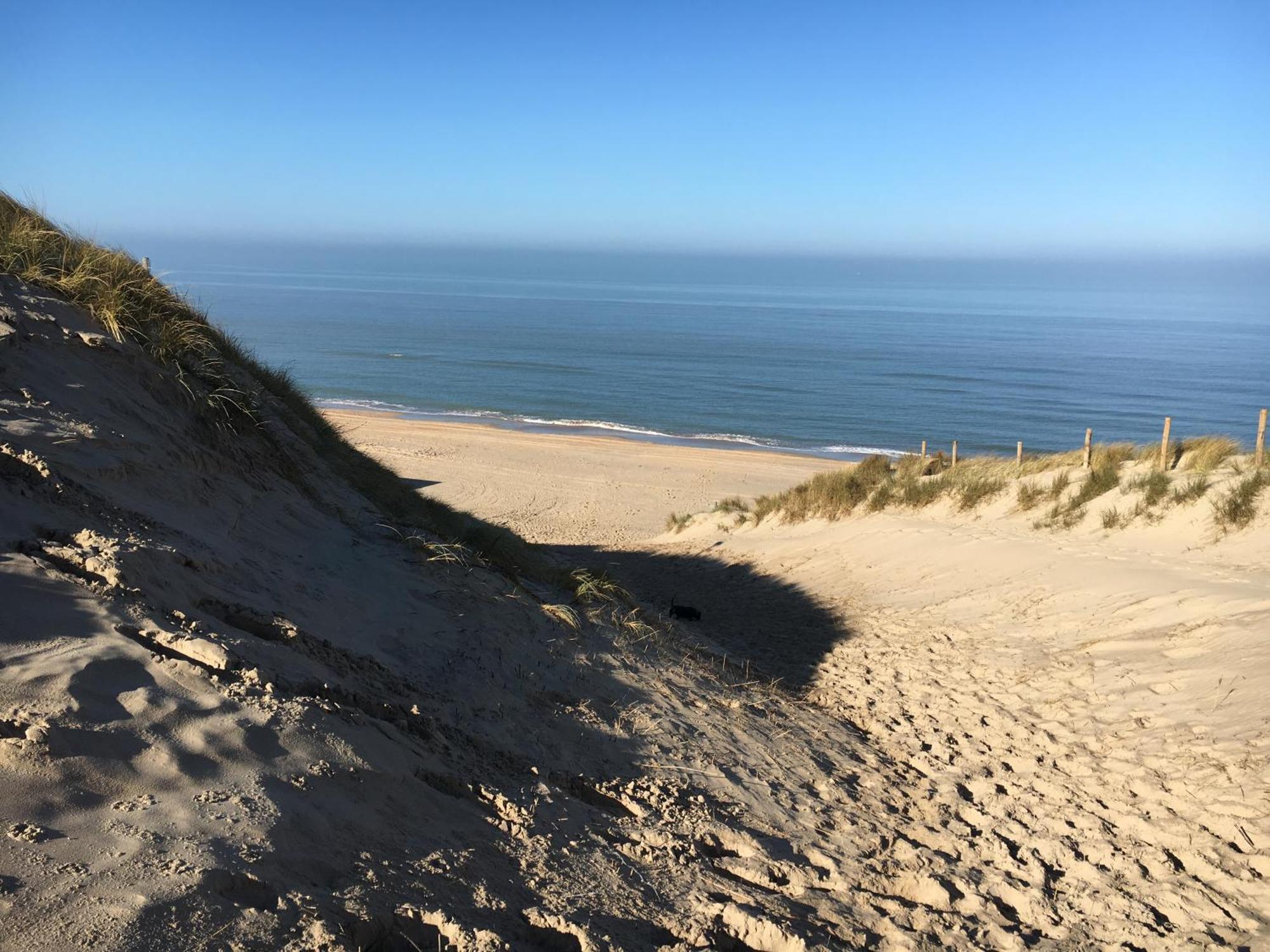 Eco Lodge Duin- Unieke Locatie -Strand, Duin En Nabij Cultuursteden Castricum Kültér fotó