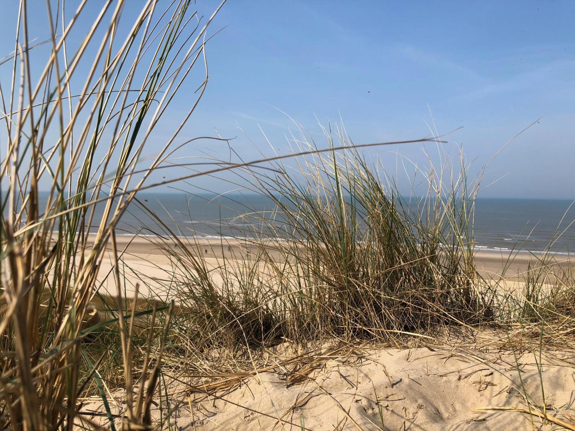 Eco Lodge Duin- Unieke Locatie -Strand, Duin En Nabij Cultuursteden Castricum Kültér fotó